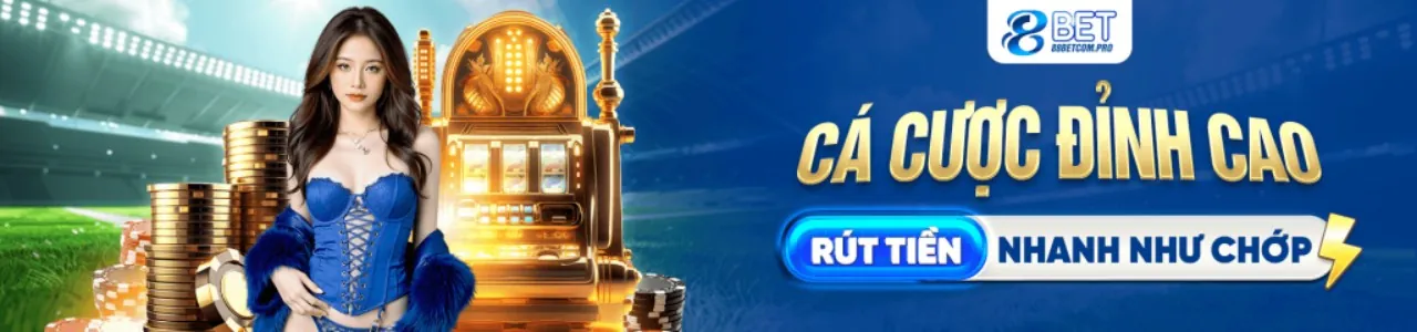 Giao diện quản lý cài đặt cookie và quyền riêng tư của người dùng cs88